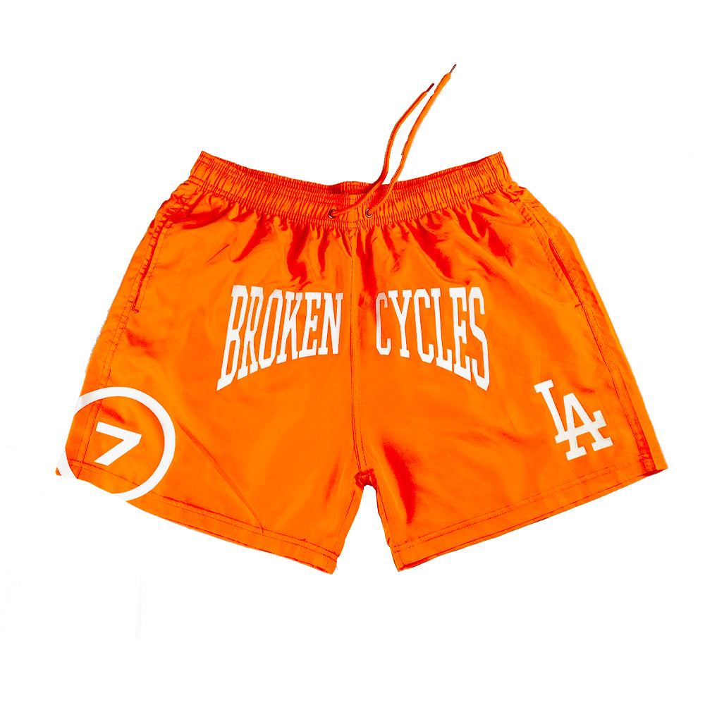 Broken Cycles Shorts